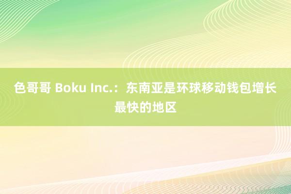 色哥哥 Boku Inc.：东南亚是环球移动钱包增长最快的地区