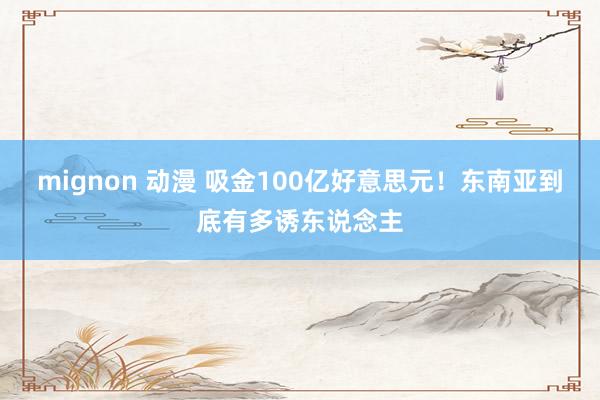 mignon 动漫 吸金100亿好意思元！东南亚到底有多诱东说念主