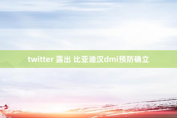 twitter 露出 比亚迪汉dmi预防确立