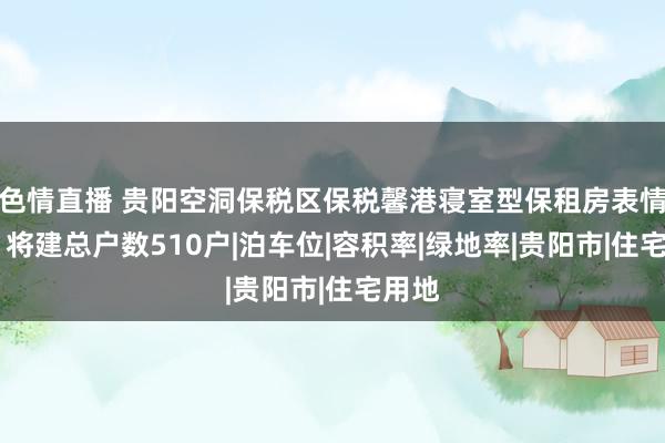 色情直播 贵阳空洞保税区保税馨港寝室型保租房表情公示 将建总户数510户|泊车位|容积率|绿地率|贵阳市|住宅用地