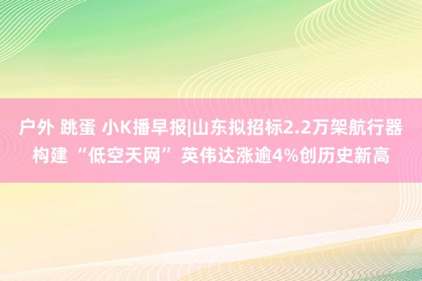 户外 跳蛋 小K播早报|山东拟招标2.2万架航行器构建 “低空天网” 英伟达涨逾4%创历史新高