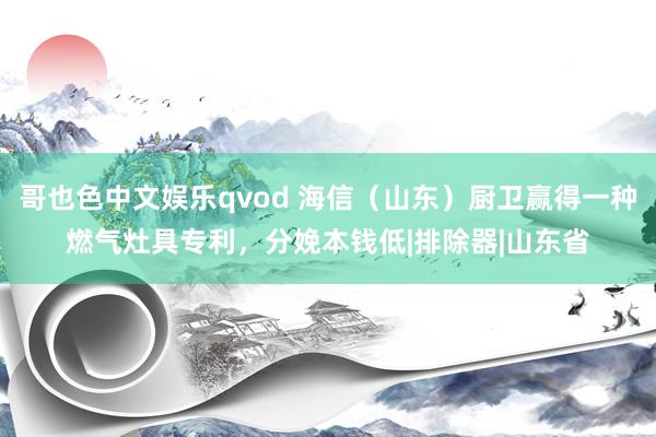 哥也色中文娱乐qvod 海信（山东）厨卫赢得一种燃气灶具专利，分娩本钱低|排除器|山东省