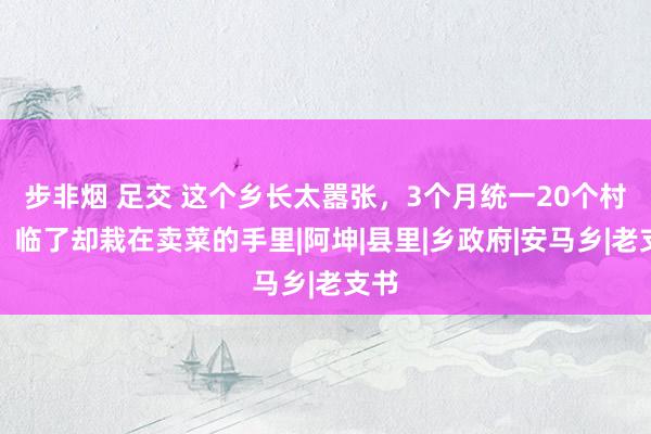 步非烟 足交 这个乡长太嚣张，3个月统一20个村霸，临了却栽在卖菜的手里|阿坤|县里|乡政府|安马乡|老支书