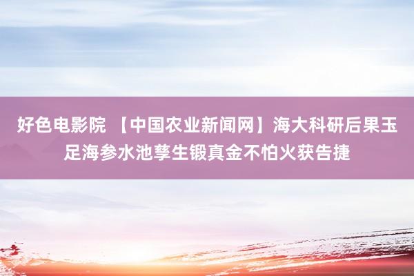 好色电影院 【中国农业新闻网】海大科研后果玉足海参水池孳生锻真金不怕火获告捷