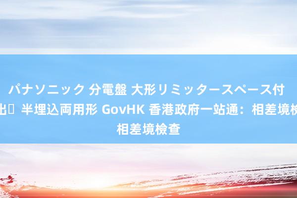 パナソニック 分電盤 大形リミッタースペース付 露出・半埋込両用形 GovHK 香港政府一站通：相差境檢查