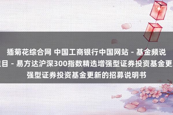 插菊花综合网 中国工商银行中国网站－基金频说念－基金公告栏目－易方达沪深300指数精选增强型证券投资基金更新的招募说明书