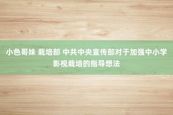 小色哥妹 栽培部 中共中央宣传部对于加强中小学影视栽培的指导想法