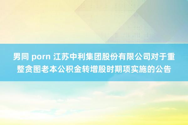 男同 porn 江苏中利集团股份有限公司对于重整贪图老本公积金转增股时期项实施的公告