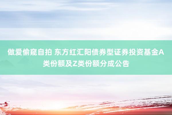 做爱偷窥自拍 东方红汇阳债券型证券投资基金A类份额及Z类份额分成公告