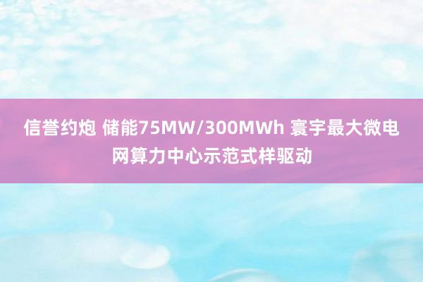 信誉约炮 储能75MW/300MWh 寰宇最大微电网算力中心示范式样驱动