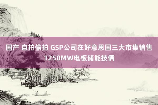 国产 自拍偷拍 GSP公司在好意思国三大市集销售1250MW电板储能技俩