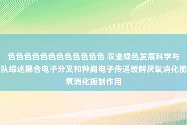 色色色色色色色色色色色色 农业绿色发展科学与工程团队综述耦合电子分叉和种间电子传递缓解厌氧消化扼制作用